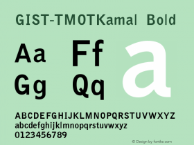 GIST-TMOTKamal Bold 9.0图片样张