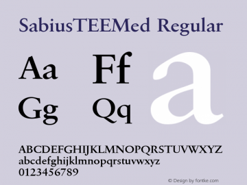 SabiusTEEMed Regular Version 001.005图片样张