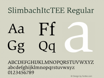 SlimbachItcTEE Regular Version 001.005图片样张