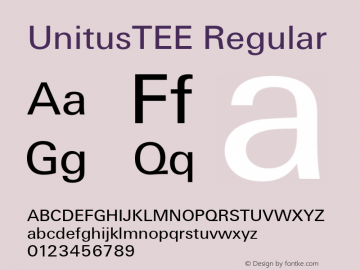 UnitusTEE Regular Version 001.005图片样张