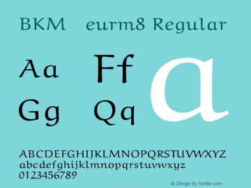 BKM-eurm8 Regular 1.2/19-Jan-95图片样张