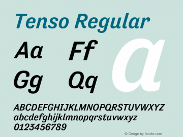 Tenso Regular Version 1.035;com.myfonts.exljbris.tenso.medium-italic.wfkit2.41Ec Font Sample
