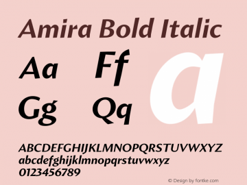Amira Bold Italic Version 1.000;PS 001.000;hotconv 1.0.38 Font Sample