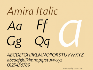 Amira Italic Version 1.000;PS 001.000;hotconv 1.0.38图片样张