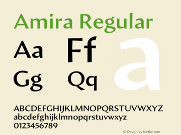 Amira Regular Version 1.000;PS 001.000;hotconv 1.0.38 Font Sample