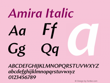 Amira Italic Version 1.000;PS 001.000;hotconv 1.0.38 Font Sample