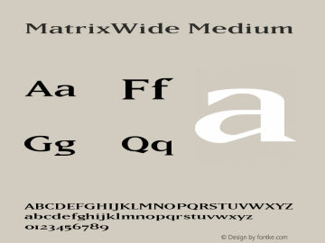 MatrixWide Medium Version 001.001 Font Sample