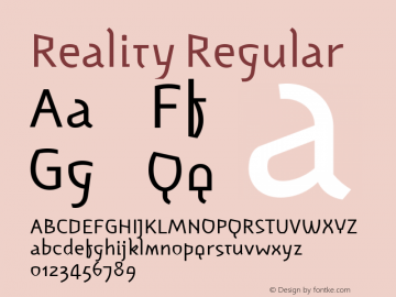 Reality Regular Version 001.000图片样张