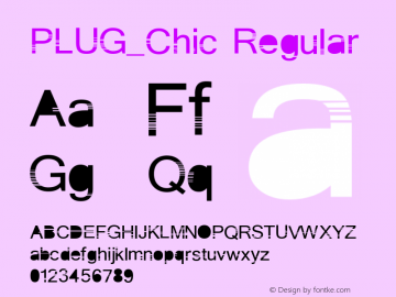 PLUG_Chic Regular Version 1.000 2006 initial release图片样张