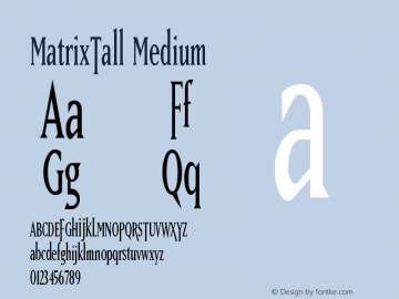 MatrixTall Medium Version 001.000 Font Sample