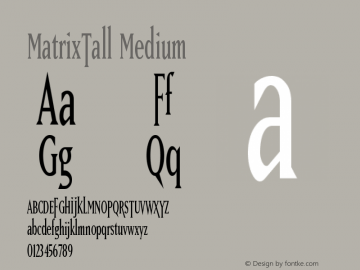 MatrixTall Medium Version 001.000 Font Sample