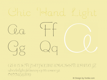 Chic Hand Light Version 1.000 2006 initial release图片样张