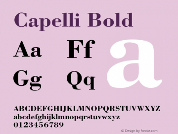 Capelli Bold Rev. 002.001 Font Sample