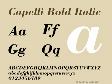 Capelli Bold Italic Rev. 002.02q Font Sample