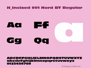 H_Incised 901 Nord BT Regular 1997.01.27图片样张