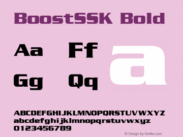 BoostSSK Bold Altsys Metamorphosis:8/25/94图片样张