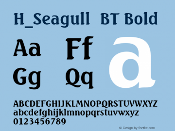 H_Seagull  BT Bold 1997.01.28图片样张