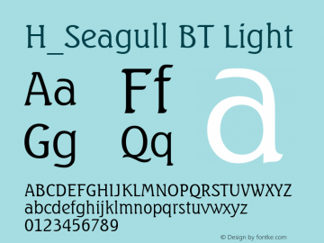 H_Seagull BT Light 1997.01.28图片样张