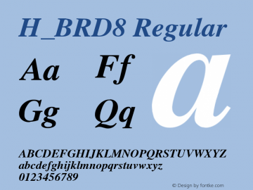 H_BRD8 Regular 1997. 01. 21.图片样张