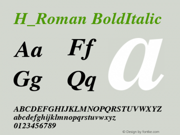 H_Roman BoldItalic 1.000 Font Sample