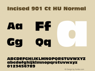 Incised 901 Ct HU Normal 1.000图片样张