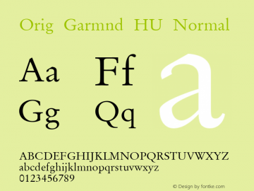 Orig Garmnd HU Normal 1.000图片样张