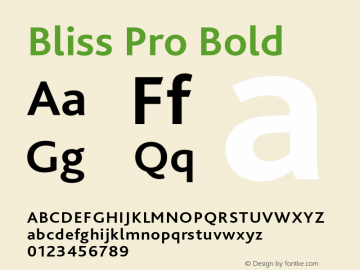 Bliss Pro Bold 001.001图片样张