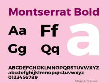 Montserrat Bold Version 1.000;PS 002.000;hotconv 1.0.70;makeotf.lib2.5.58329 DEVELOPMENT Font Sample