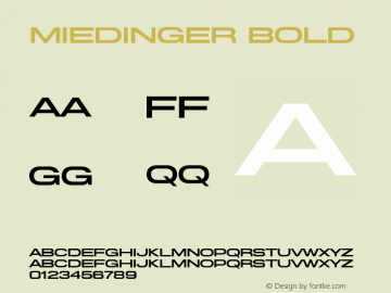 Miedinger Bold 2.0 November 2008;com.myfonts.easy.canadatype.miedinger.medium.wfkit2.version.3aSn Font Sample