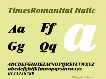 TimesRomanItal Italic Version 001.000 Font Sample