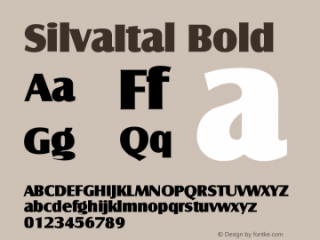 SilvaItal Bold Version 001.001图片样张