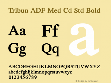 Tribun ADF Med Cd Std Bold Version 1.002 Font Sample