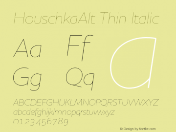 HouschkaAlt Thin Italic 001.000图片样张