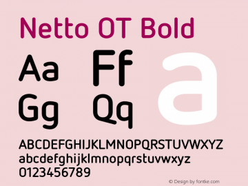 Netto OT Bold Version 1.000;PS 001.001;hotconv 1.0.38图片样张