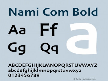 Nami Com Bold Version 1.01 Font Sample