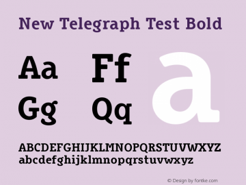 New Telegraph Test Bold Version 2.000 2007 initial release Font Sample