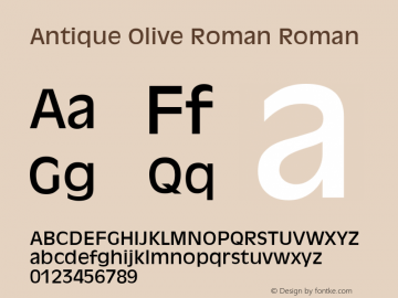 Antique Olive Roman Roman 001.001图片样张