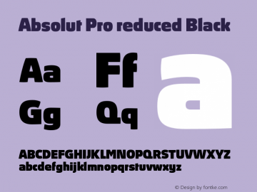 Absolut Pro reduced Black Version 5.002图片样张