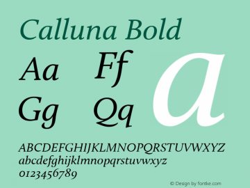 Calluna Bold Version 1.246;PS 001.001;hotconv 1.0.57;makeotf.lib2.0.21895;com.myfonts.easy.exljbris.calluna.italic.wfkit2.version.3fpp Font Sample