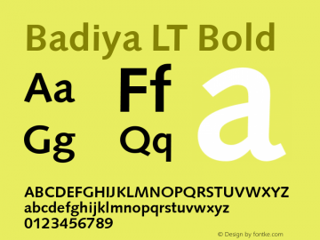 Badiya LT Bold Version 1.00; 2007图片样张