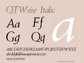 QTWeise Italic Version 001.000图片样张