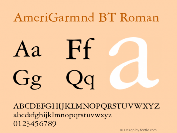 AmeriGarmnd BT Roman Version 1.01 emb4-OT图片样张