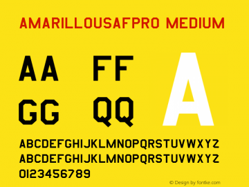 AmarilloUSAFPro Medium Version 1.0; 028-001D-20001108图片样张