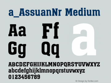 a_AssuanNr Medium 001.001 Font Sample