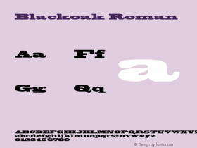 Blackoak Roman Version 1.00图片样张