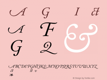 Adobe Garamond Italic 001.003 Font Sample