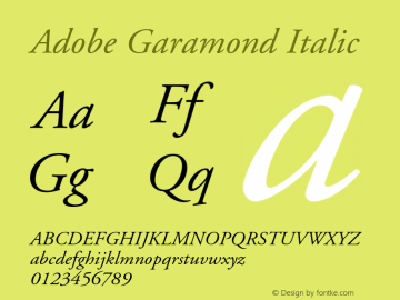 Adobe Garamond Italic 001.001 Font Sample