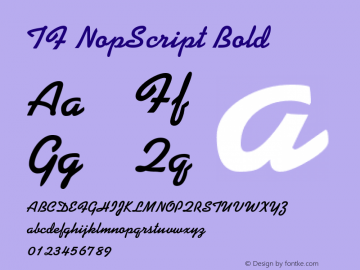 TF NopScript Bold Version 1.000图片样张