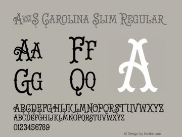 A&S Carolina Slim Regular Version 1.000图片样张