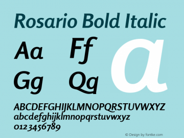 Rosario Bold Italic 001.000 Font Sample